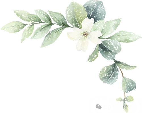 曹是什么朝代_历史人物曹操百科_曹刿是哪个朝代的历史人物