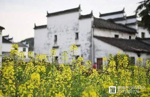 徽州宗族社会_徽州社会科学_徽州文化大班幼儿社会教案