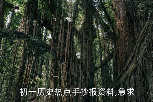 初一历史热点手抄报资料,急求