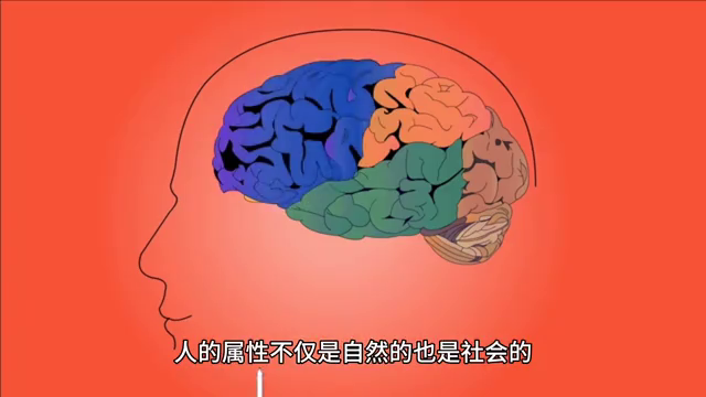 社会属性是人的属性_属性社会人是指什么_什么是人的社会属性