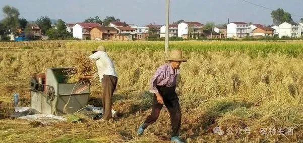 社会进步_进步社会制度_进步社会党