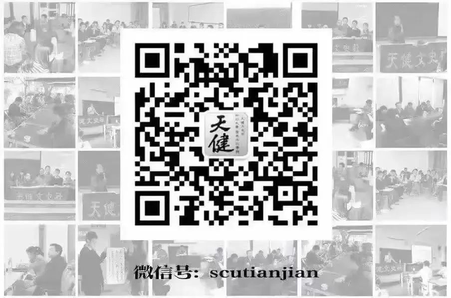 历史视野包括_历史研究视角_研究历史的视角