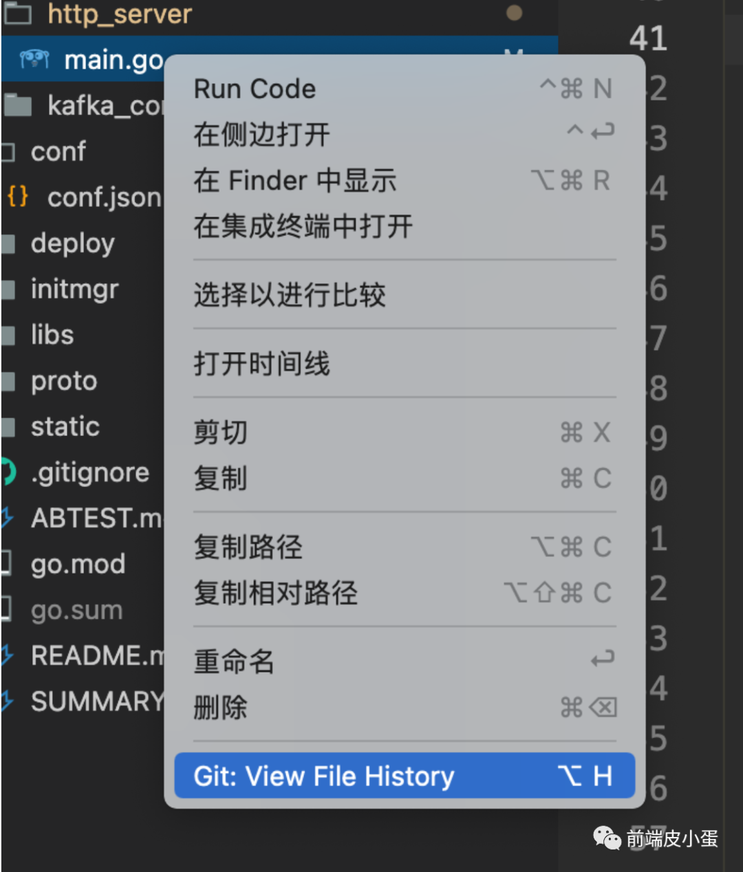 vscode历史记录_记录历史的书_记录历史的书籍有哪些