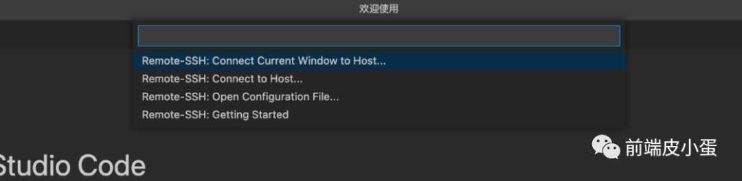 vscode历史记录_记录历史的书籍有哪些_记录历史的书