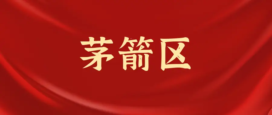 青年社会服务的意义_青年社会服务_青年社会服务与中国高质量发展