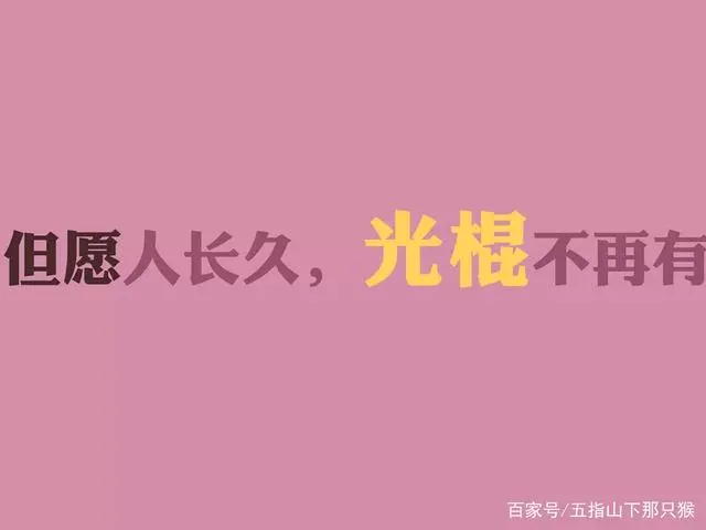 踏入社会感想_步入感想社会的句子_步入社会的感想