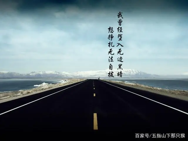 步入感想社会的句子_步入社会的感想_踏入社会感想