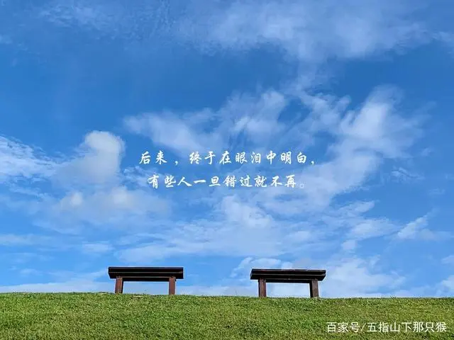 踏入社会感想_步入社会的感想_步入感想社会的句子