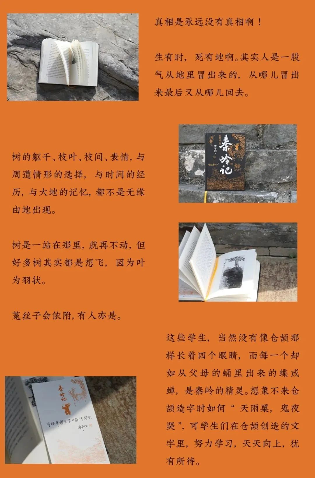 笔记小说_笔记小说代表作_笔记小说大观