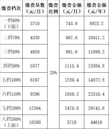 各项社会保险缴纳比例_社会保险缴费标准_各种社会保险的缴费标准