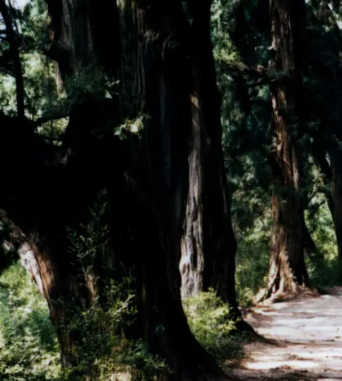 剑门关历史简介_剑门关历史_剑门关历史背景