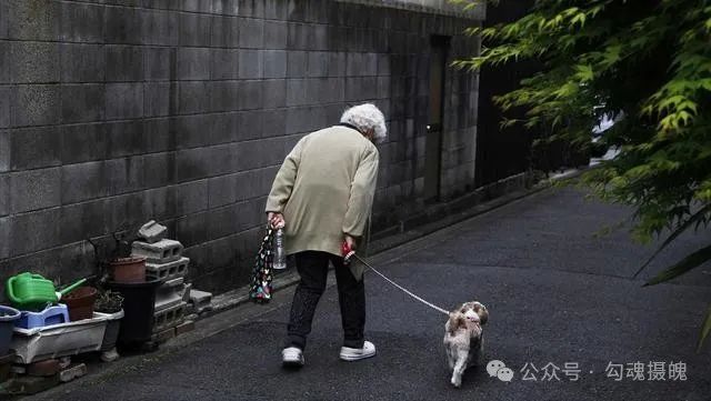 社会行业分析_社会行业环境分析_社会行业