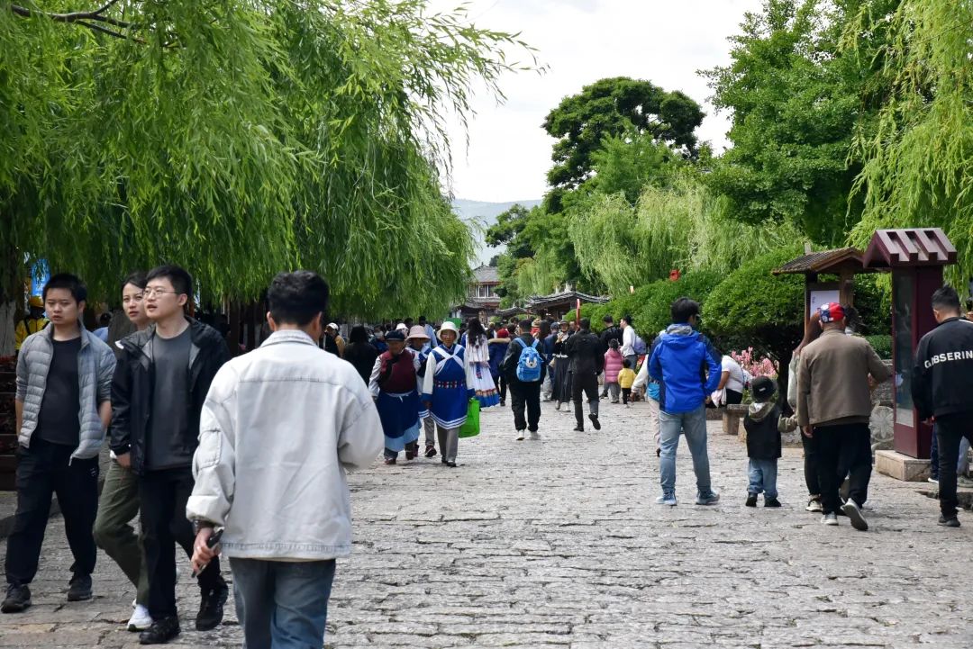 古城丽江历史背景_丽江古城的历史_丽江古城历史资料