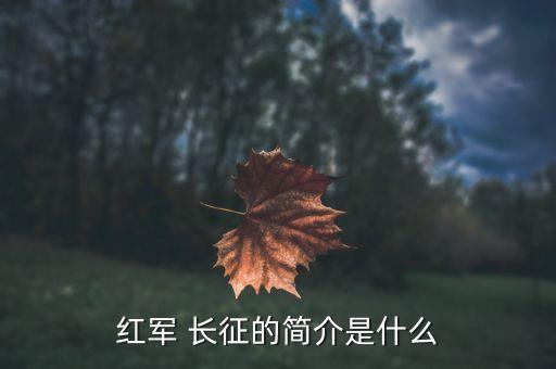 红军 长征的简介是什么