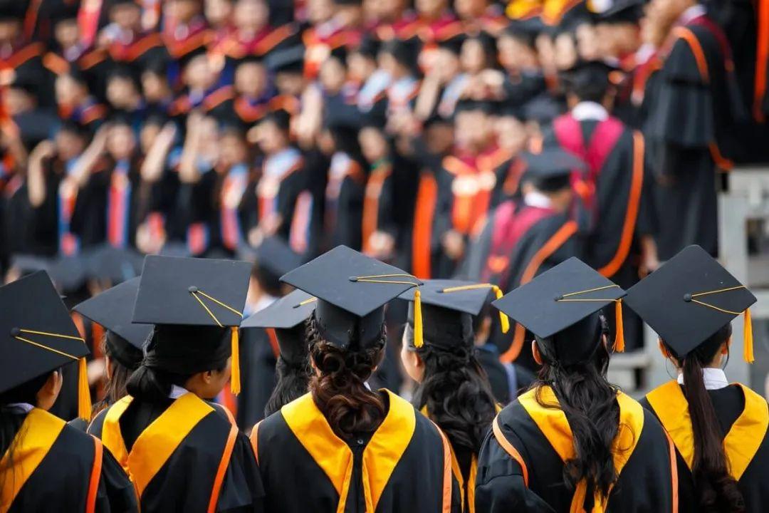 大学文史专业_文史大学专业选科要求_文史专业大学排名