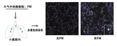 韩国学_韩国学校世界排名_韩国学医美专业要求