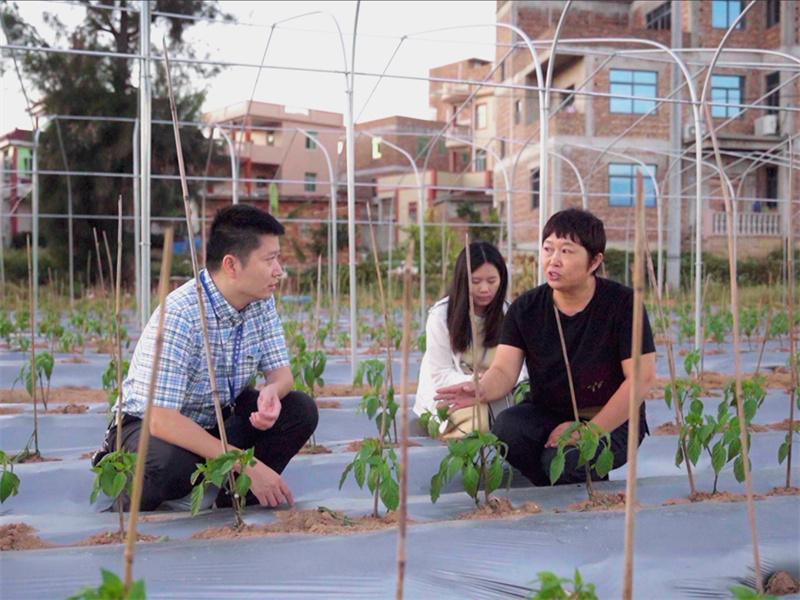 巡察 熟人社会_巡视熟人_巡察人手记