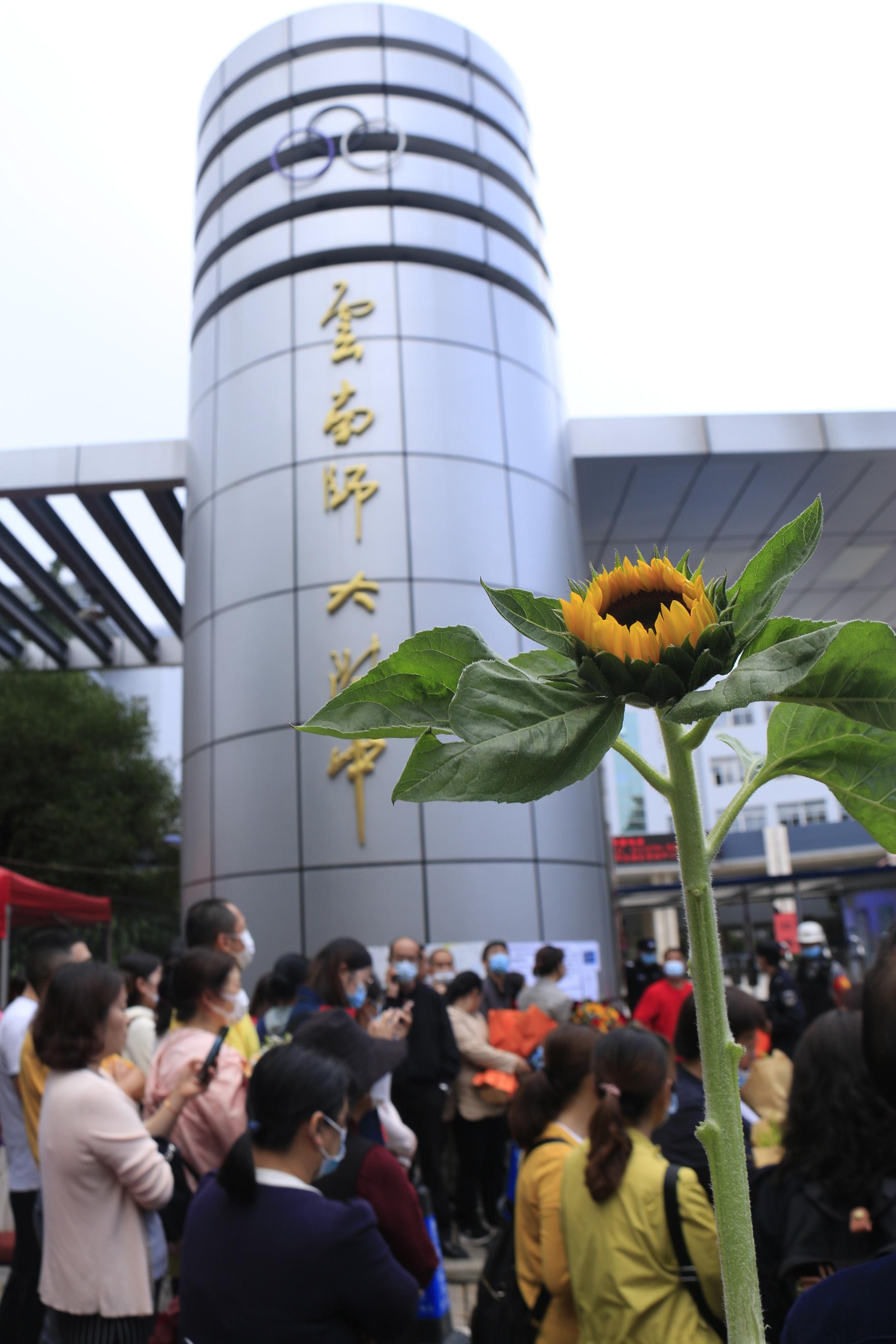 文史类是什么意思_什么叫文史类_文史类是指