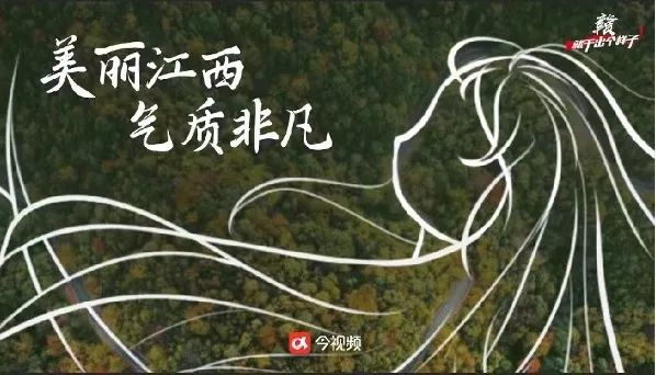 社会传真是哪个频道_社会传真_社会传真2021