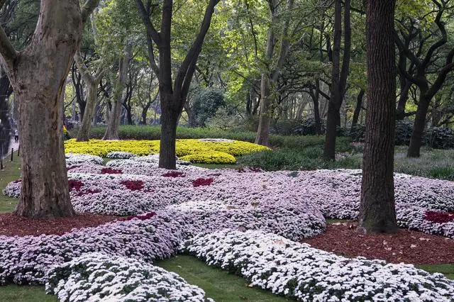 儋州市历史名人_海南儋州历史名人_海南儋州历史人物