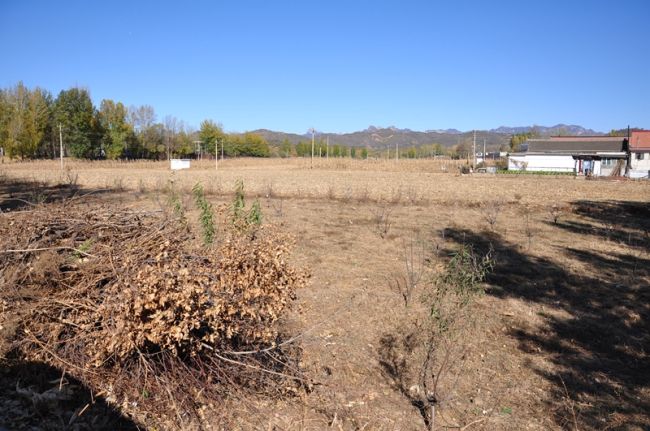 起居注官_起居注_起居注和实录的区别