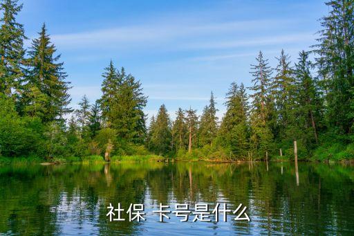 社保 卡号是什么