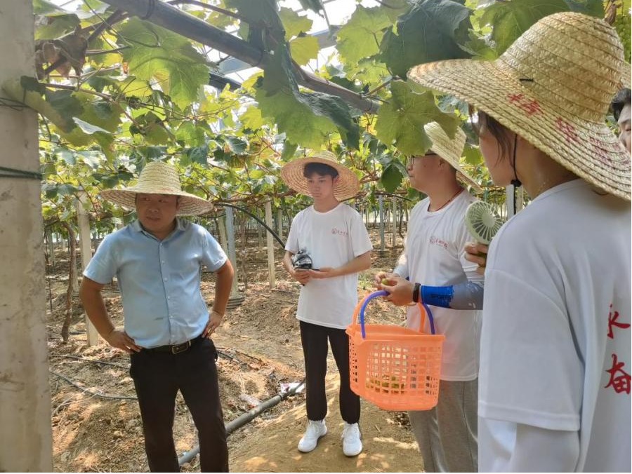 社会实践实践特色_社会实践的特色_社会实践的实践特色怎么写