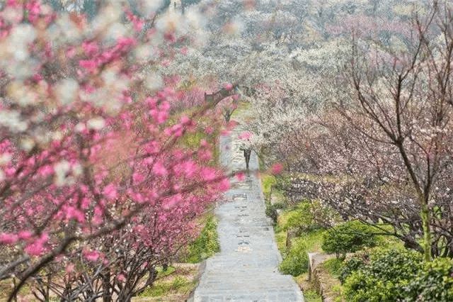 海安历史名人_名人海安历史介绍_名人海安历史简介