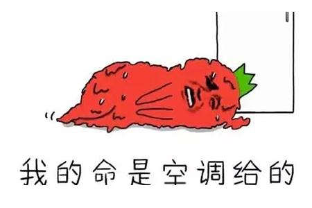 艺术史论为什么冷门