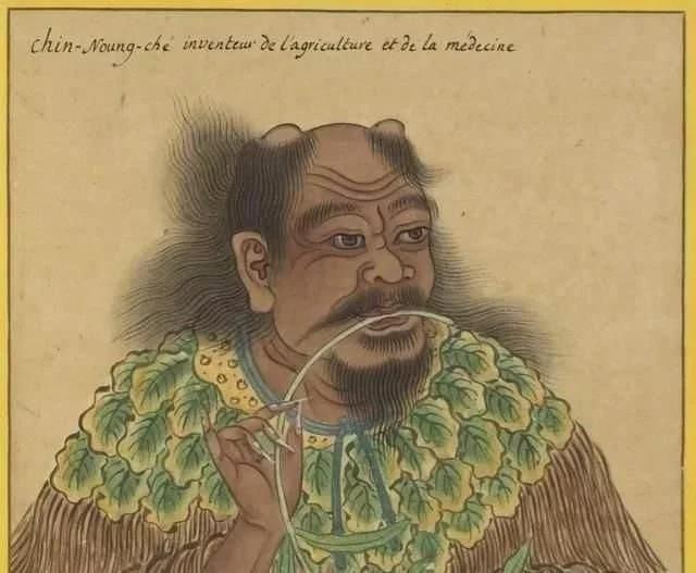 真实的历史_真实历史改编的电视剧_真实历史有罗成吗