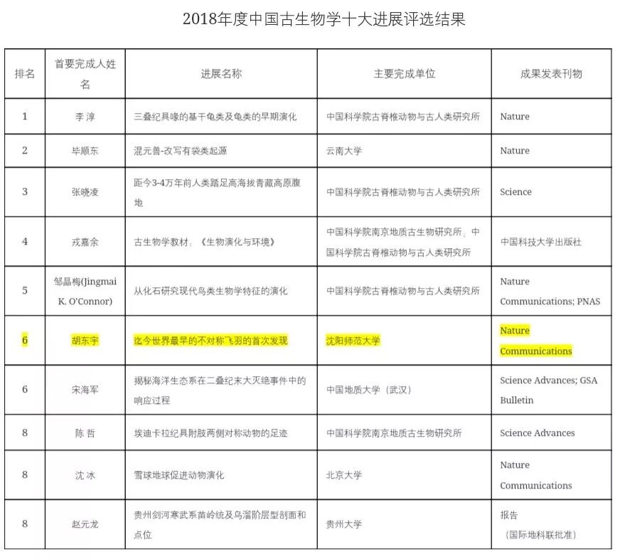 沈师文史_沈师历史系好就业吗_沈师历史系