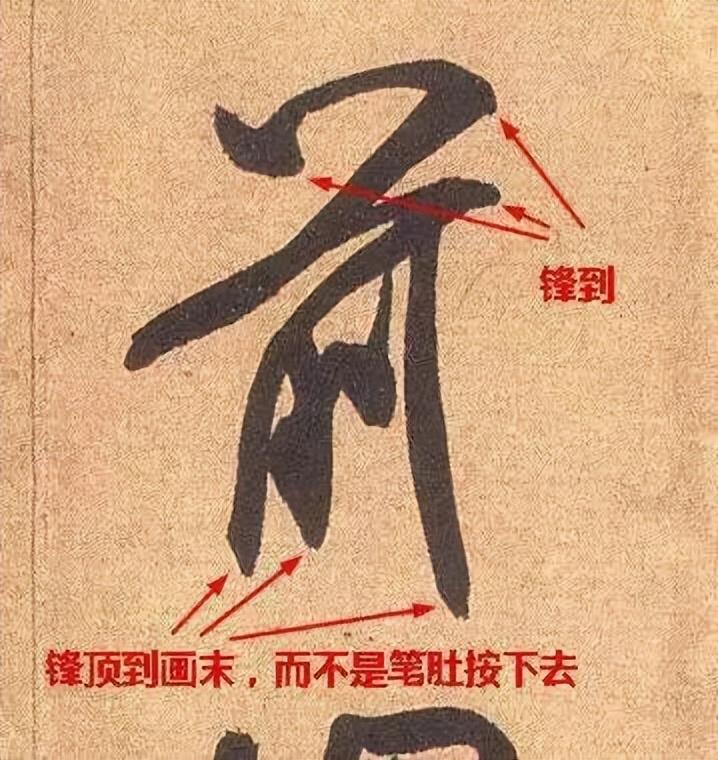 文史张家康_张文史_文史张小宇