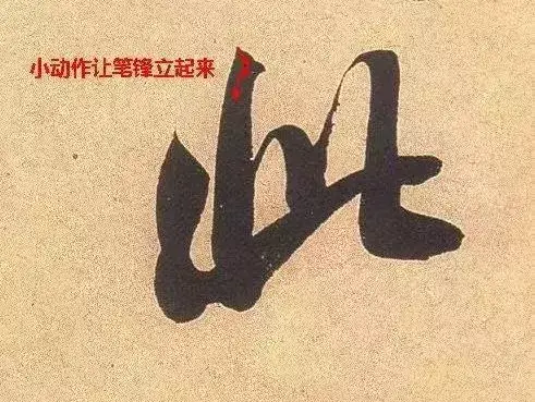 张文史_文史张小宇_文史张家康