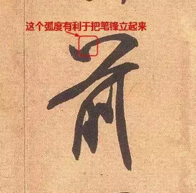 文史张小宇_张文史_文史张家康