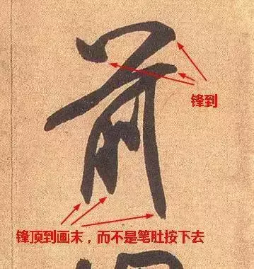 张文史_文史张小宇_文史张家康