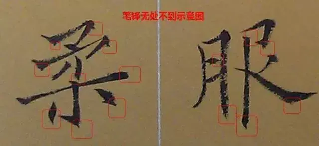 文史张小宇_张文史_文史张家康