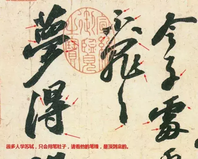 张文史_文史张家康_文史张小宇