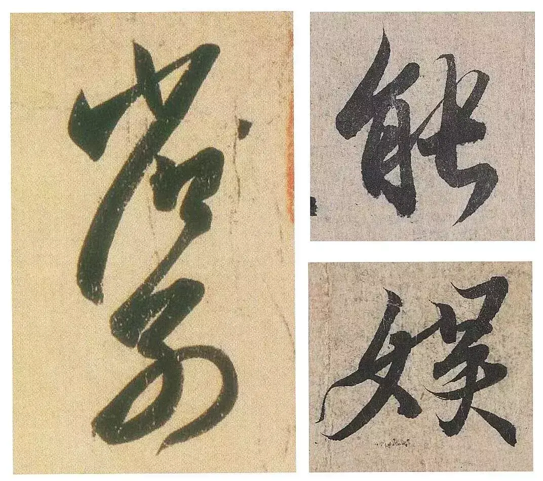 文史张家康_文史张小宇_张文史