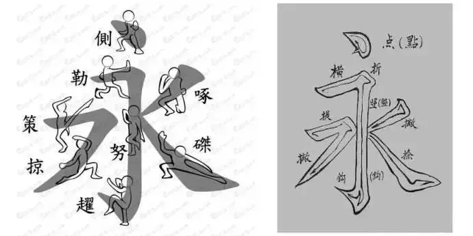 文史张家康_张文史_文史张小宇