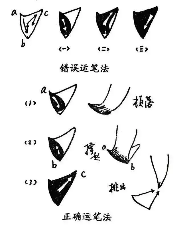 文史张家康_文史张小宇_张文史