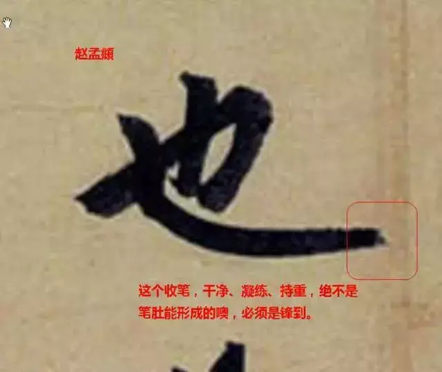 文史张小宇_文史张家康_张文史