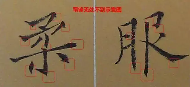 文史张小宇_文史张家康_张文史