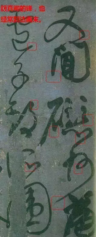 张文史_文史张小宇_文史张家康