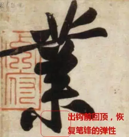 文史张小宇_文史张家康_张文史
