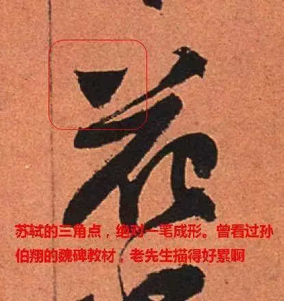文史张家康_张文史_文史张小宇