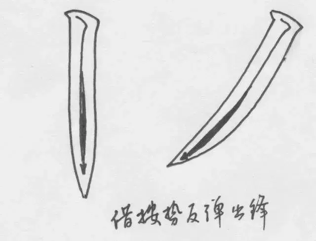 文史张家康_文史张小宇_张文史