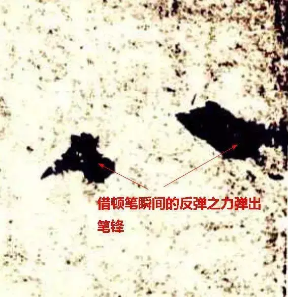 张文史_文史张小宇_文史张家康