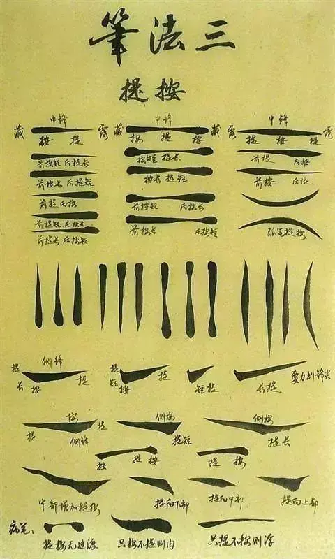 文史张家康_张文史_文史张小宇