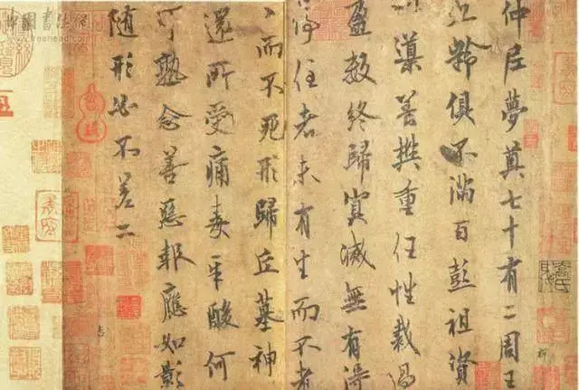 文史张小宇_张文史_文史张家康
