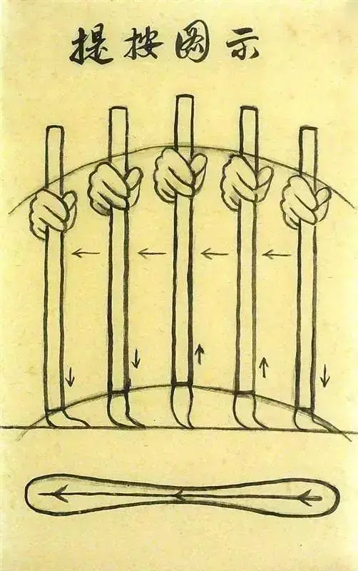 文史张家康_张文史_文史张小宇
